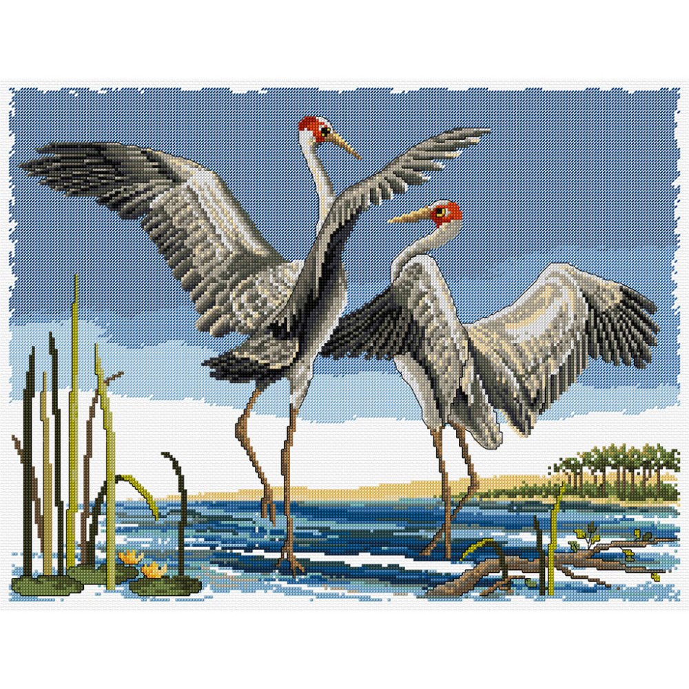 (image for) Dancing Brolgas